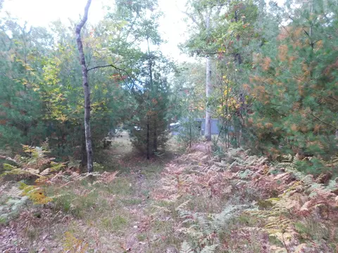 3910 E Hawley Rd, Custer, MI 49405 photo 30