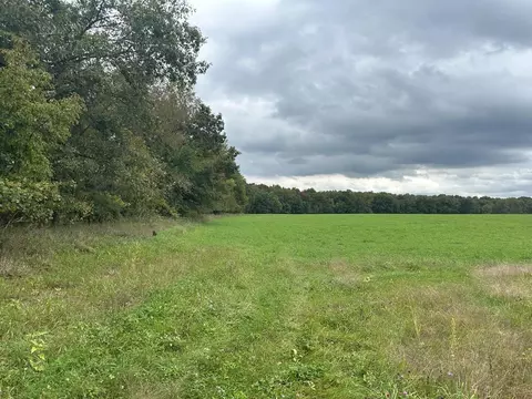 0 Vl Jeffrey Rd, Jonesville, MI 49250