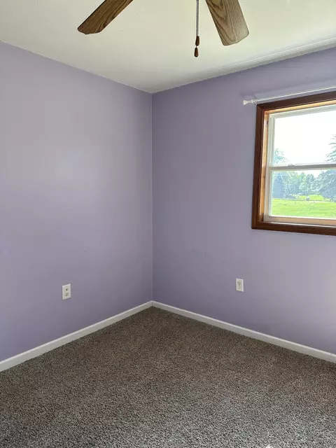 9755 Cox Rd, Bellevue, MI 49021 photo 6