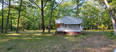 8630 W Canyon Dr, Irons, MI 49644