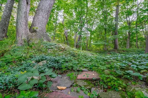 5986 N 42nd St, Augusta, MI 49012 photo 45