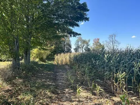 0 E Vl E Bacon Rd, Hillsdale, MI 49242