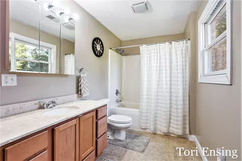 1312 Pine Hill Trl, Stanton, MI 48888 photo 21