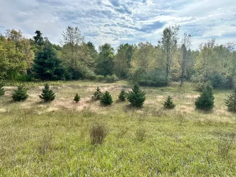 Par B Belding Road, Belding, MI 48809 photo 3