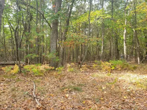 6917 S Lakeshore Dr, Pentwater, MI 49449