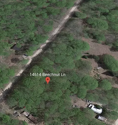 Beechnut Lane Lot 226, Wolverine, MI 49799