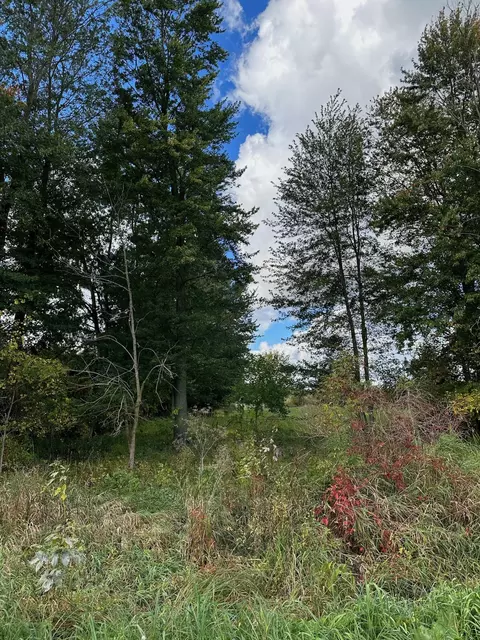 32 Nd Ave, Hudsonville, MI 49426