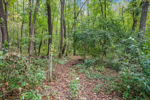 7551 Blackman Rd, Jackson, MI 49201 photo 38