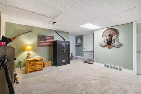 1012 N Bridge St, Belding, MI 48809 photo 30