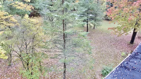 4710 E Wilson Rd, Harrison, MI 48625 photo 122