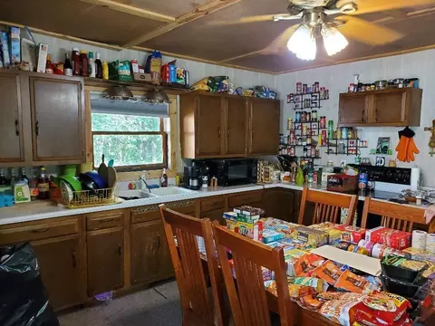 4792 N Peacock Trl, Irons, MI 49644 photo 3