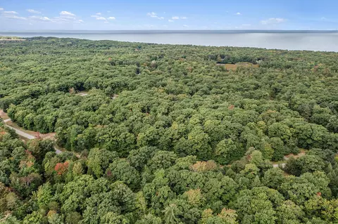 lot2 Pine St, Mears, MI 49436 photo 22
