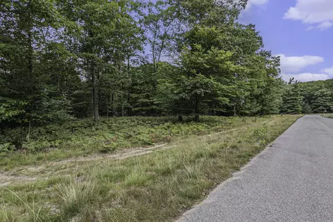lot2 Pine St, Mears, MI 49436 photo 4