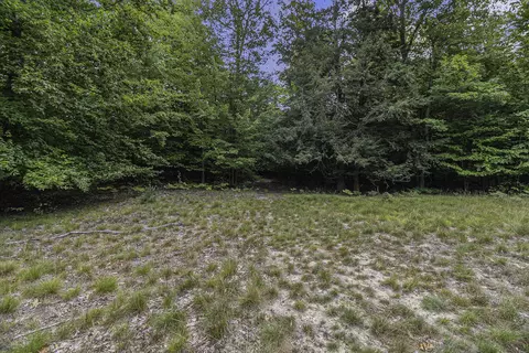 lot2 Pine St, Mears, MI 49436 photo 18