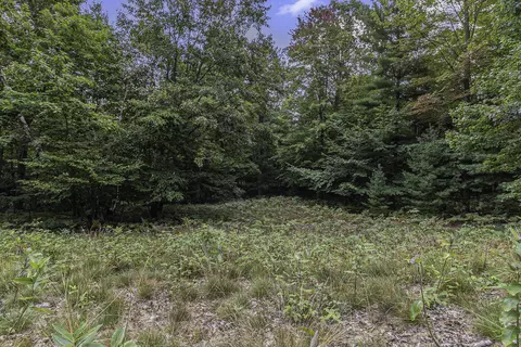 lot2 Pine St, Mears, MI 49436 photo 10