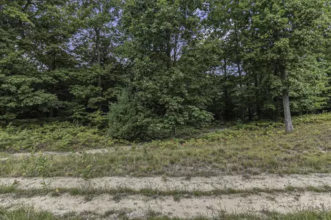 lot2 Pine St, Mears, MI 49436 photo 14
