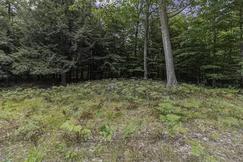lot2 Pine St, Mears, MI 49436 photo 5