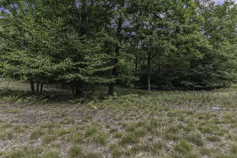 lot2 Pine St, Mears, MI 49436 photo 12