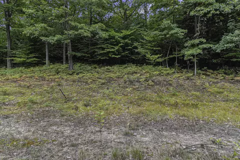 lot2 Pine St, Mears, MI 49436 photo 7