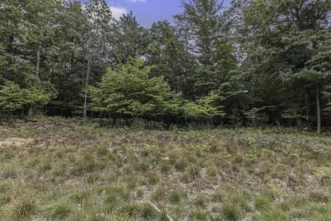 lot2 Pine St, Mears, MI 49436 photo 11