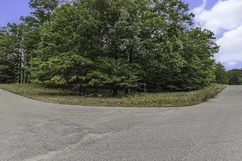 lot2 Pine St, Mears, MI 49436 photo 3