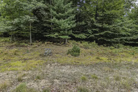 lot2 Pine St, Mears, MI 49436 photo 6