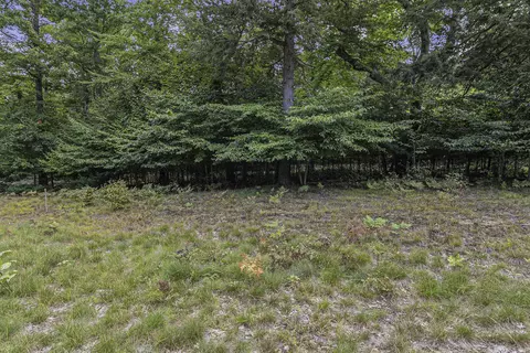 lot2 Pine St, Mears, MI 49436 photo 15