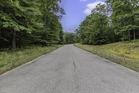 lot2 Pine St, Mears, MI 49436 photo 2