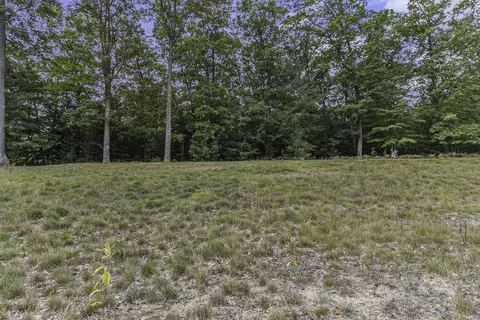 lot2 Pine St, Mears, MI 49436 photo 13