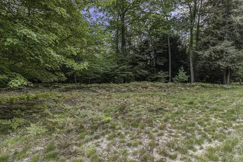 lot2 Pine St, Mears, MI 49436 photo 8