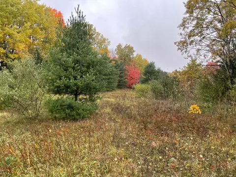 Parcel G Bosschem, Wellston, MI 49689