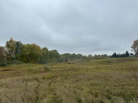 125 Th Ave, Morley, MI 49336 photo 3