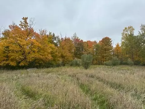 125 Th Ave, Morley, MI 49336 photo 2