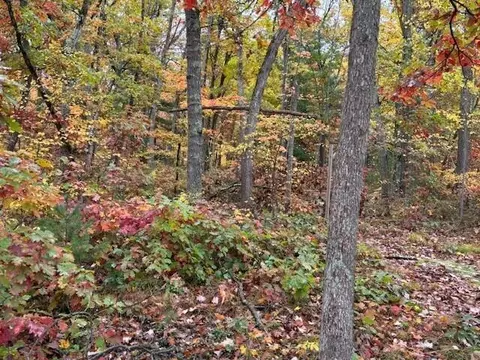 0 10th Ave, Bitely, MI 49309