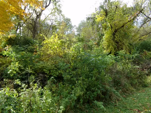 11934 Bradley Dr, Jerome, MI 49249 photo 6