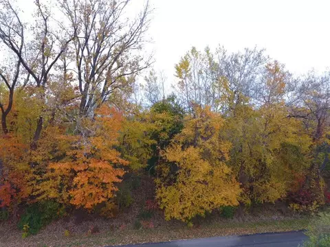 Tbd 61st Avenue, Hartford, MI 49057