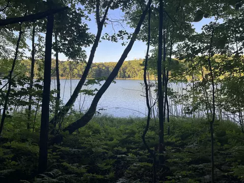 Lot 126 Alpine Drive, Reed City, MI 49677