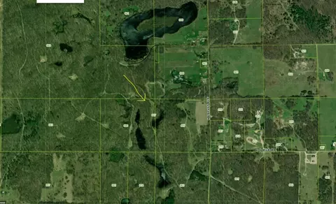 0 Trail Rd, White Cloud, MI 49349 photo 2