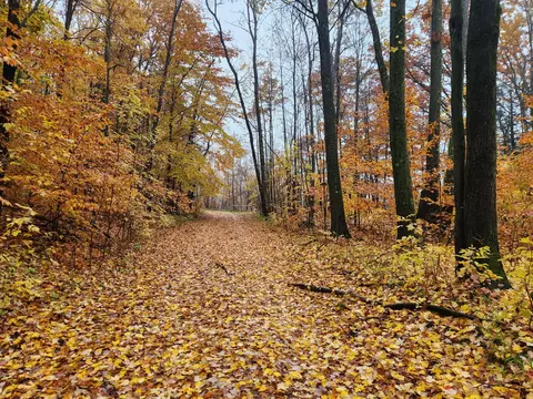 0 Trail Rd, White Cloud, MI 49349 photo 6