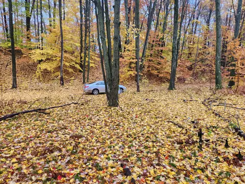 0 Trail Rd, White Cloud, MI 49349 photo 4
