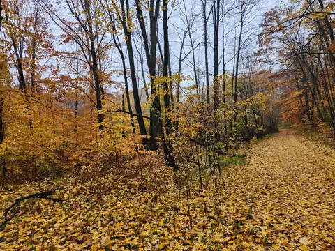 0 Trail Rd, White Cloud, MI 49349 photo 8