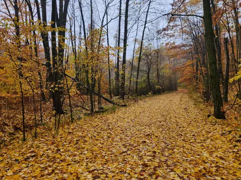 0 Trail Rd, White Cloud, MI 49349 photo 5