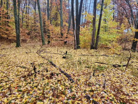 0 Trail Rd, White Cloud, MI 49349 photo 3