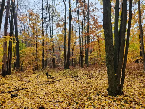 0 Trail Rd, White Cloud, MI 49349 photo 7