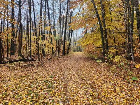 0 Trail Rd, White Cloud, MI 49349 photo 9