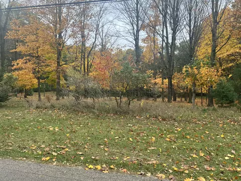 Parcel A Wythe Street, Pentwater, MI 49449
