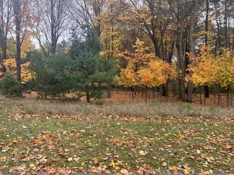 Parcel B Wythe Street, Pentwater, MI 49449