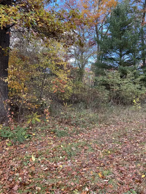 V/l W Ashland, Twin Lake, MI 49457
