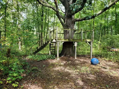11099 Sears Rd, Concord, MI 49237 photo 8