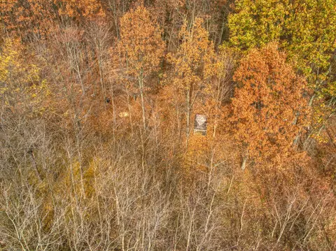 11099 Sears Rd, Concord, MI 49237 photo 80